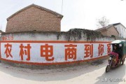 大唐电商
:是什么原因约束了农村的电子商务？