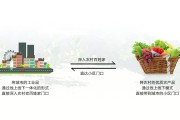 农村电商的特点(农村电商的特点有哪些)