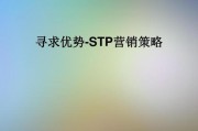 stp营销战略(stp营销战略怎么用)