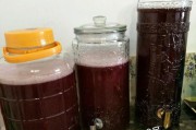 葡萄酒的制作方法视频(葡萄酒怎么做视频教程)