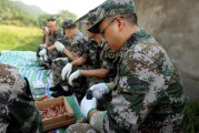 民兵是干什么的(民兵是干什么的)