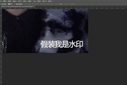ps制作视频动图(ps制作主图教程视频)
