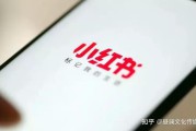 投放小红书(小红书投放策略)