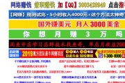 网赚网(网上赚钱平台)