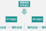 注册跨境电商有什么要求(做跨境电商需要注册什么类型的公司)