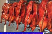 烤鸭的做法视频教程(脆皮烤鸭的做法与配方视频教程)