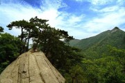 合肥有什么好玩的地方(合肥有什么好玩的地方景点推荐免费)