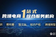新手做跨境电商怎么做(新手小白能做跨境电商吗)