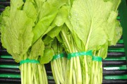 青菜大全(青菜大全)