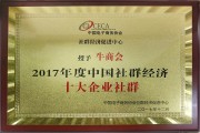 关于2017中国电商十大创新企业的信息