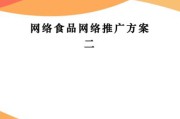 电子商务网站推广方案(电商平台推广怎么做)