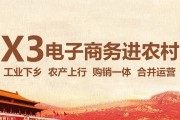 农村电商运营方案(农村电商平台运营方案)