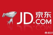 服装电商平台
:在哪个电商平台做服装品牌比较好？