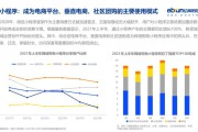 所谓垂直电商指的是(所谓电商是指什么)