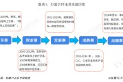 农村电商的发展(农村电商的发展趋势与未来)