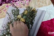 干花的制作视频(吹风机快速制作干花视频)