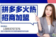拼多多靠什么赚钱(两三块包邮 拼多多靠什么赚钱)