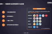 短视频视频分类(短视频的分类)