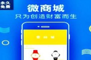 微商城平台推广(商城类平台怎么推广)