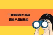 二类电商(二类电商选品平台)