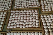 小商品加工(小商品加工设备)