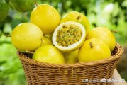 农村电商政府要
:在农村做农业电商，和当地政府支持的一村一品配合着做，有什么好处？