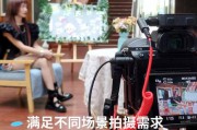 短视频网红(短视频网红)