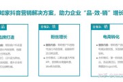 抖音品牌营销案例(品牌营销成功的案例)
