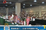 白瓷制作视频(白瓷是怎么制作而成的)