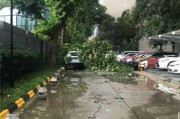 暴雨短视频(真实暴雨的短视频)