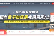 临沂电商(临沂电商直播基地在哪里)