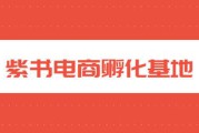 虾皮电商平台怎么样(跨境电商平台虾皮怎么样)