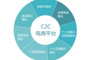 电商平台建设(电商平台建设资金的报告)