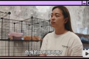 看黄色短视频(看黄色短视频)