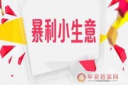 小本赚大钱(小公司赚大钱)