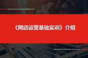 网店运营与推广(网店运营与推广的课程总结)