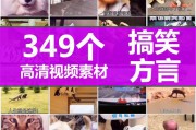 短搞笑视频(搞笑短视频 爆笑)