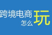 美淘村电商平台(淘美电子商务有限公司)