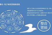 整个营销(整合营销就是把各个独立的营销综合成一个整体)