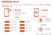 网络营销有关的视频(网络营销视频观后感)