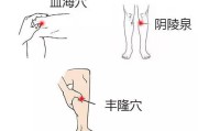 阴陵泉的作用(阴陵泉的作用与功效位置)