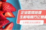 铁蛋壳电商平台的简单介绍
