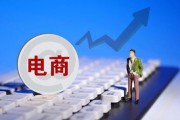 十大垂直电商平台(十大生鲜垂直电商平台)