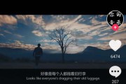 如何制作情感文字视频(抖音情感文字视频怎么制作)
