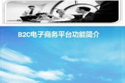 b2c电子商务系统(B2C电子商务系统研究与实现)