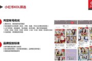 小红书精准投放(小红书投放策略)