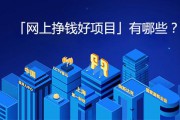 网上挣钱平台(网上挣钱最快的平台)