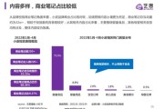 小红书营销环境分析(小红书营销环境分析PPT)