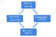 农村电商的发展现状(农村电商发展现状调查)