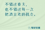 有创意的广告文案(有创意的广告)